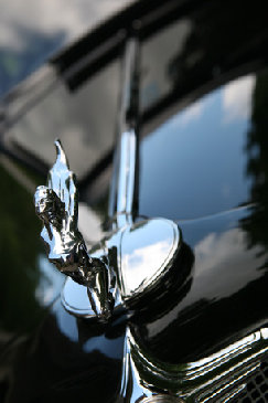 beckerphotos015002.jpg
