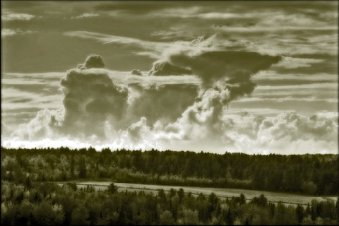 beckerphotos017001.jpg