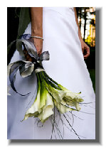 beckerphotos024007.jpg