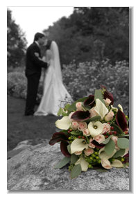 beckerphotos027003.jpg