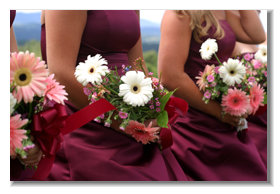 beckerphotos029008.jpg
