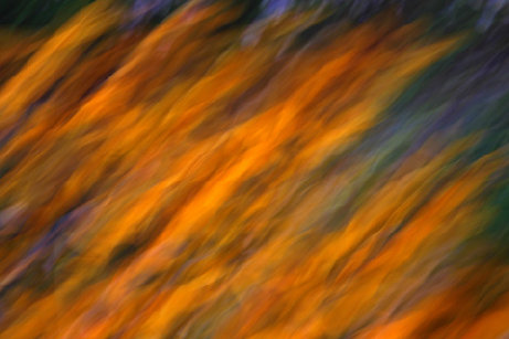 beckerphotos051001.jpg