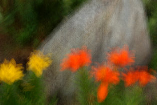 beckerphotos051003.jpg