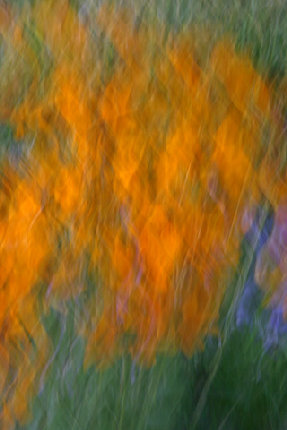 beckerphotos051006.jpg