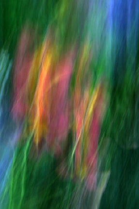 beckerphotos051007.jpg