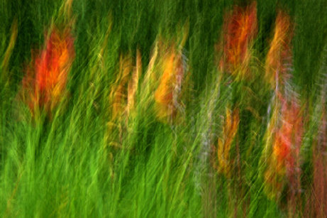 beckerphotos051008.jpg