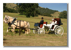 beckerphotos088003.jpg