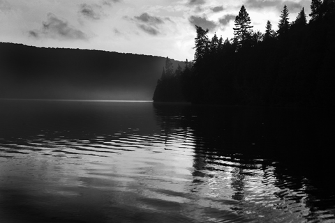 bw8556.jpg