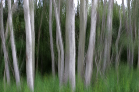 vg7x7843.jpg