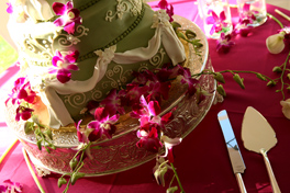 wedding%20photographer.jpg