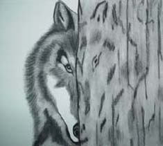 wolf.jpg